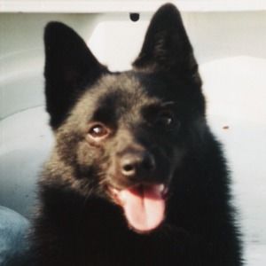 Meet your Posher, Anne